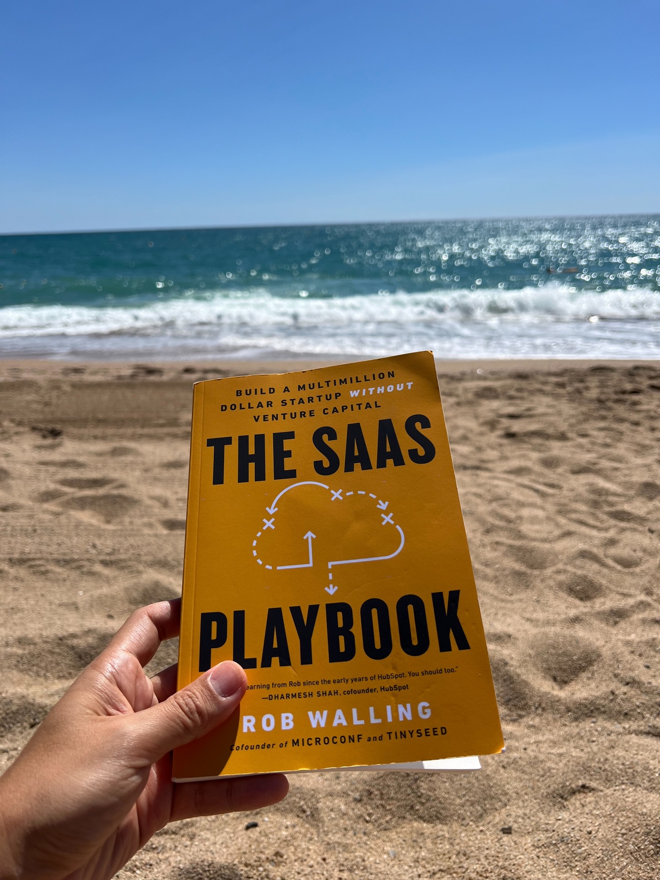 Highly recommend this book, particularly on a nice beach!